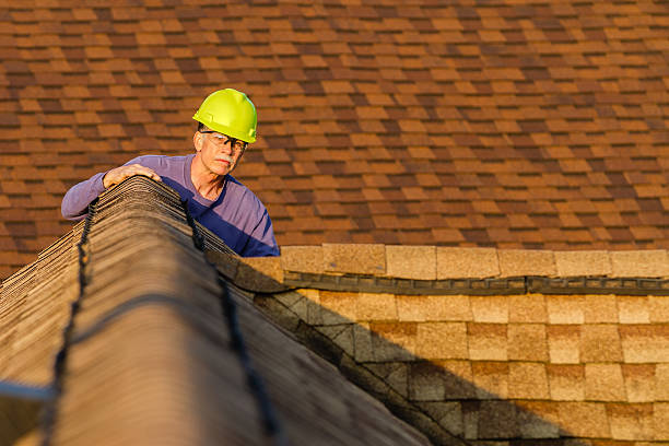 Best Local Roofing Companies  in West Ack, NY